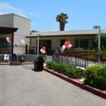 StElizabeths_0011 (June 26, 2015)